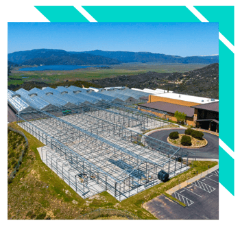 Cannabis Real Estate for Sale