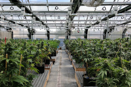 Cultivation Facilities