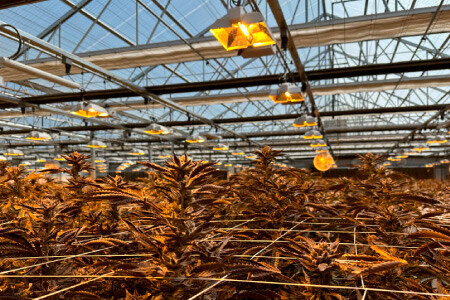 Cultivation Facilities